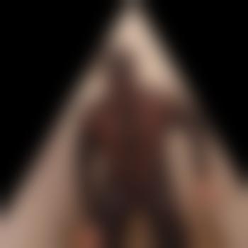jan_netter