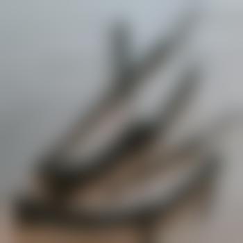 speedym40