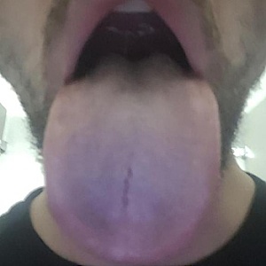 8inchsinch