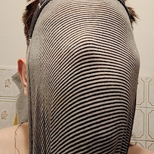 Wedgieboyval