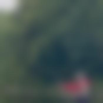 FoxFriend