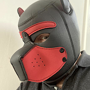 BlowDog