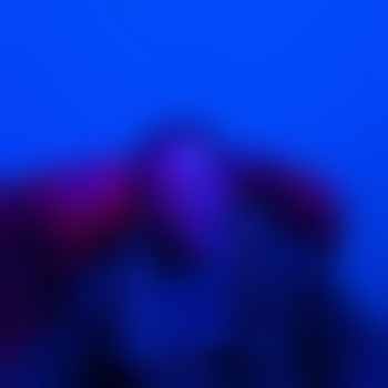 Slaveseeker229