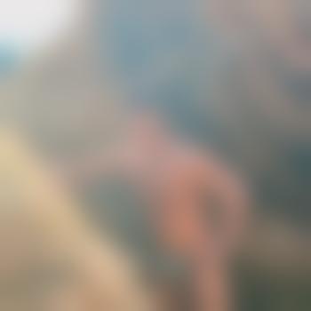 mahane-yafa14083