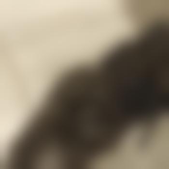 steamchimp