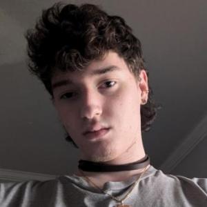 fuzzfacesys