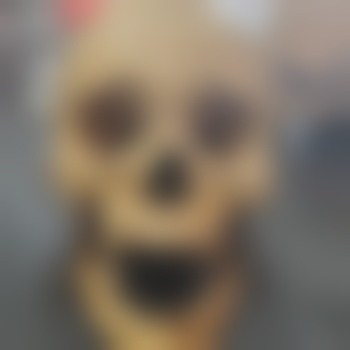 Void_Crypt84