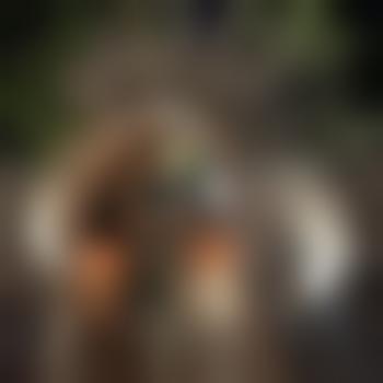 bbcloverlatina