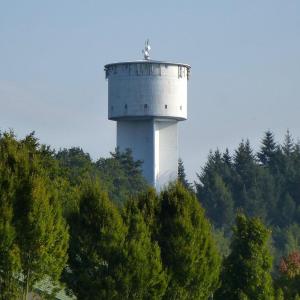 Wasserturm Berg (Pfalz)