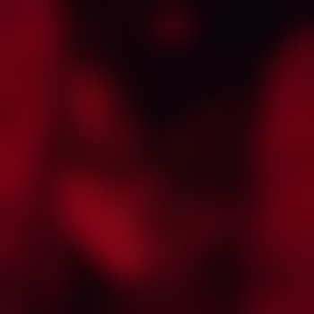 Flirty-Univserse8183