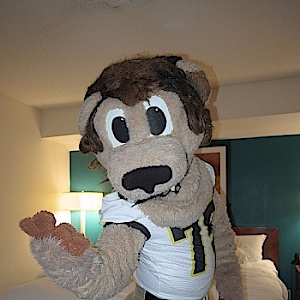 DerrickLion
