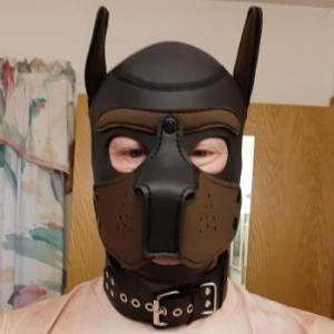 WiscPanSub