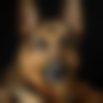Wolfman426