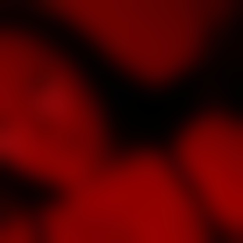 xPandax