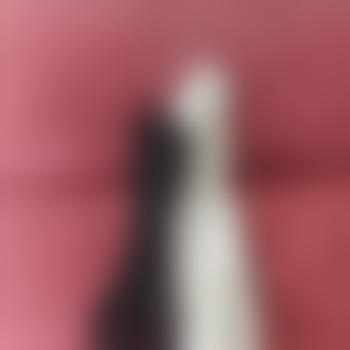 Gil
