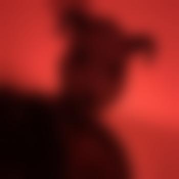 DM33
