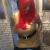 andreas53bi