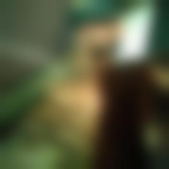 thydevilsreject