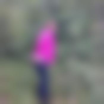 PervTransWindDogSkla