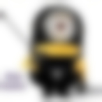 TheMinionMaster