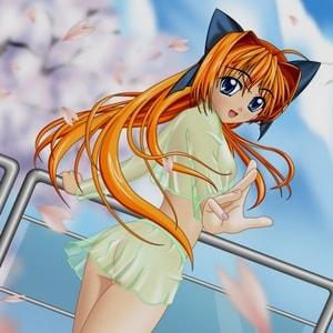 Hentai / Anime 