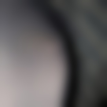 bonerconstant