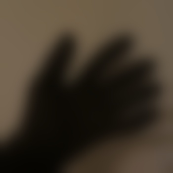der_Professor