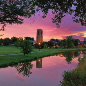 Padded Pals of Frederick