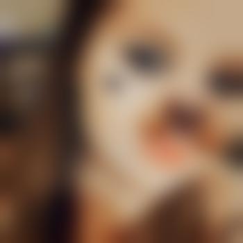 kitten2212