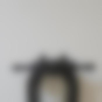 Dominus_Veritas