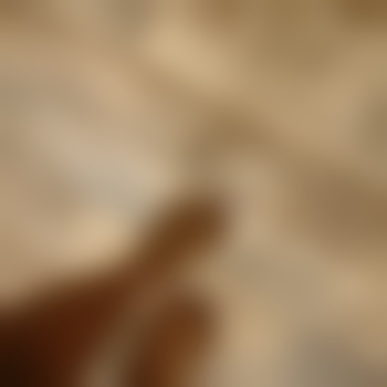 damnthatstaylor