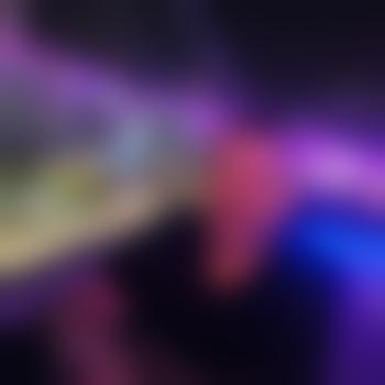 newtothis100