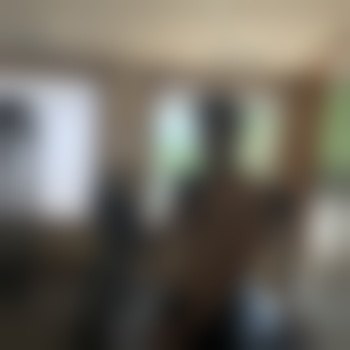 lanalvr1